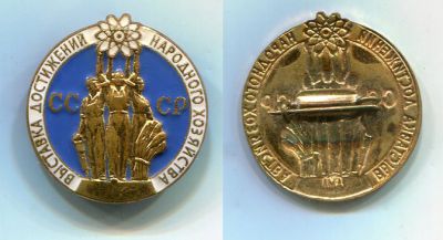 Значок Выставка достижений народного хозяйства СССР