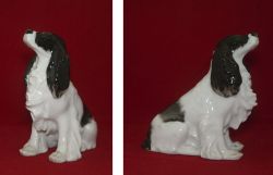 ��������� ������ ������ ��������. ������������� ���������� �����